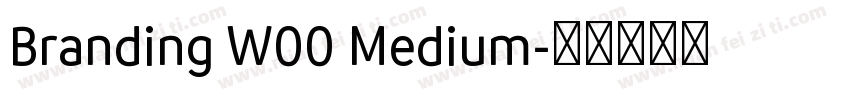 Branding W00 Medium字体转换